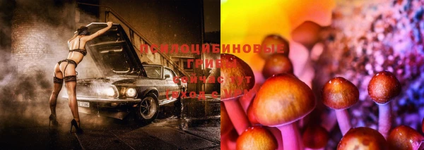 дмт Балабаново