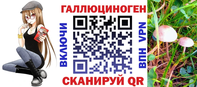 Псилоцибиновые грибы прущие грибы  Черняховск 